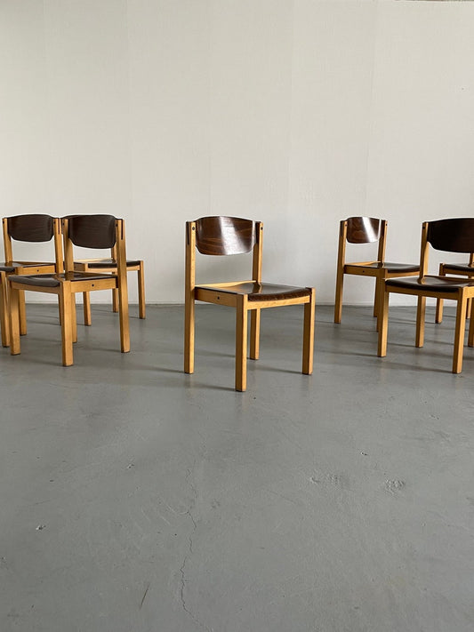 Dining Chairs or Visitor Chairs in the Style of Roland Rainer, Beech and Stained Plywood, 1970s Germany