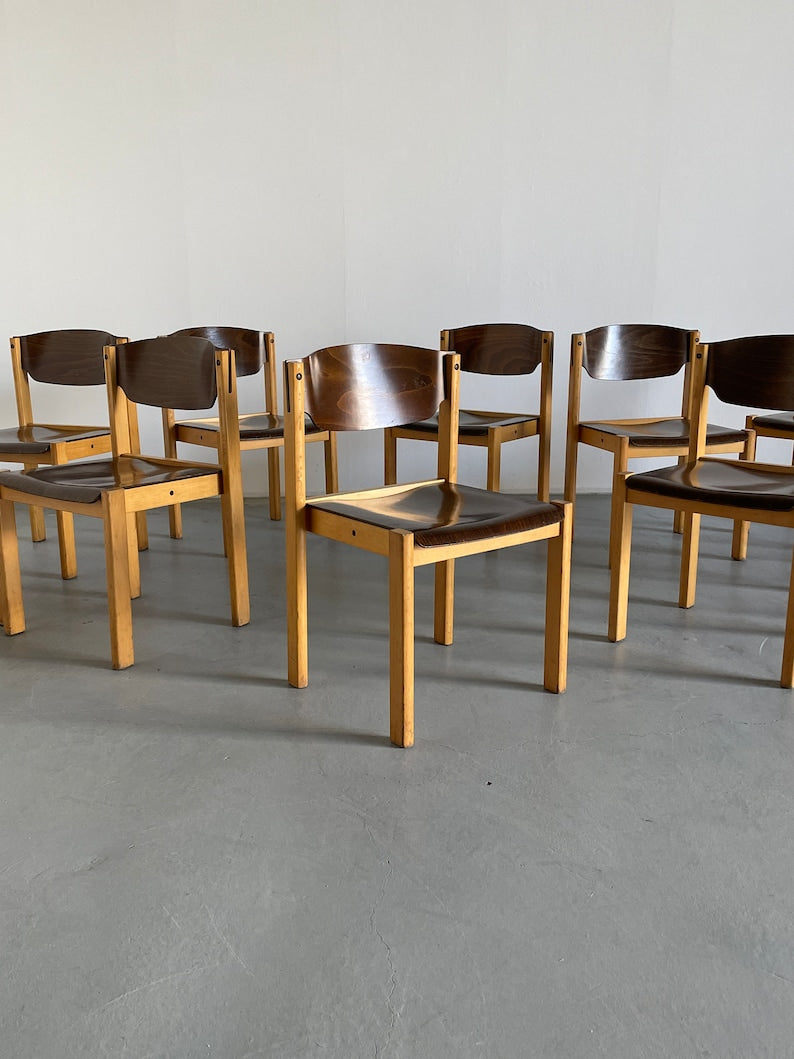 Dining Chairs or Visitor Chairs in the Style of Roland Rainer, Beech and Stained Plywood, 1970s Germany